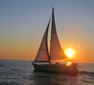 Dolphin Watching in Bari