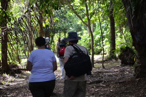 Pantano de Nariva: Experiencia de observación de monos