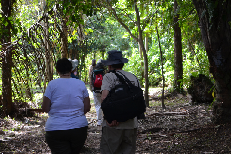 Pantano de Nariva: Experiencia de observación de monos