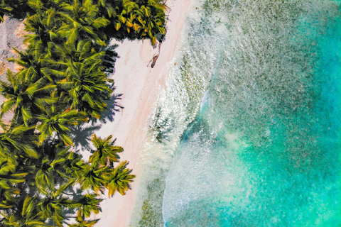 Punta Cana: Valskådning i Samaná, Cayo Levantado och lunchPunta Cana: Valskådning i Samana, Cayo Levantado och lunch