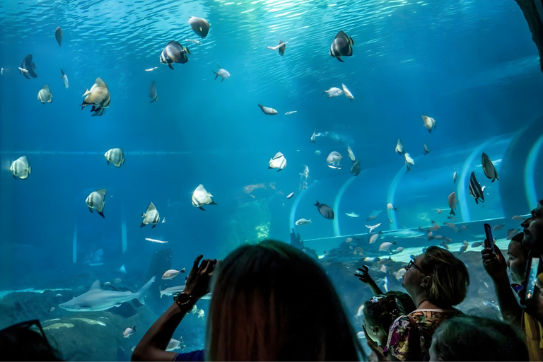 Łódź: City Highlights Private Tour & Orientarium Zoo Visit