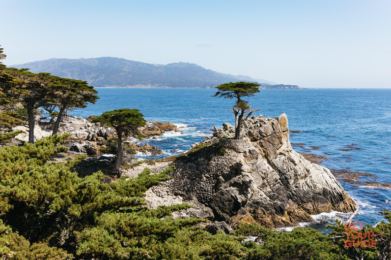 San Francisco: Monterey and Carmel Day Trip w/ 17-Mile Drive From San Francisco: Monterey and Carmel Day Tour