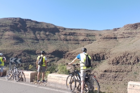 Gran Canaria: 1 tot 7 dagen een e-bike huren5-daagse verhuur