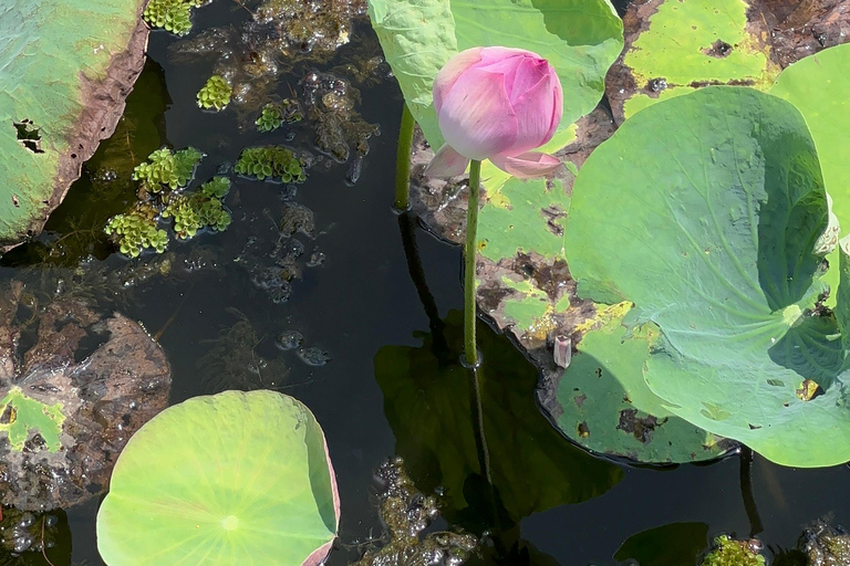 Authentieke Mekong Delta My Tho fietsavonturentourLunch is inbegrepen