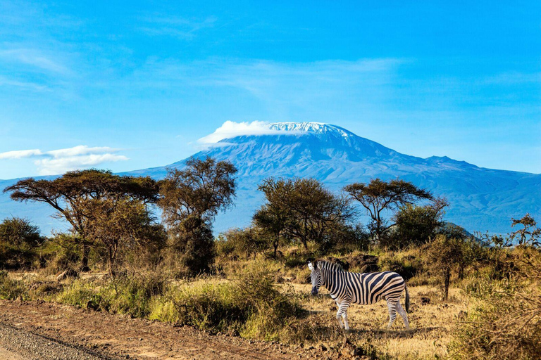 8 Dagen Beklim de Kilimanjaro via de Lemosho Route