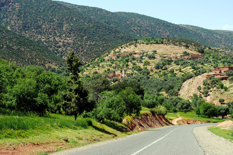 Agadir/Taghazout: Paradijsvallei Halve Dag Tour met LunchTour met lunch