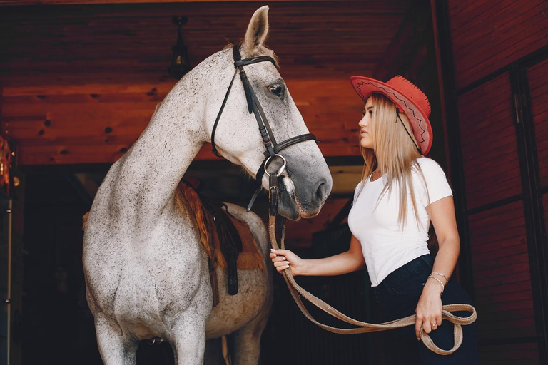 Wadi Rum: Horseback Ride to Khazali Canyon & Sand Dune