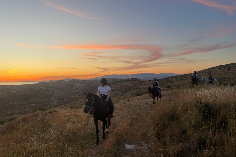 Romantic Experience with horses in the Natural Reserve WWF