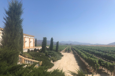 Casablanca: Private Wine Tour at Estancia El Cuadro, Valparaíso, Viña del Mar
