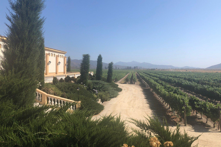 Casablanca: Private Wine Tour at Estancia El Cuadro, Valparaíso, Viña del Mar