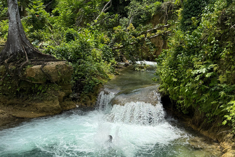 Jamaica: YS falls, Black River Safari day tour from Negril