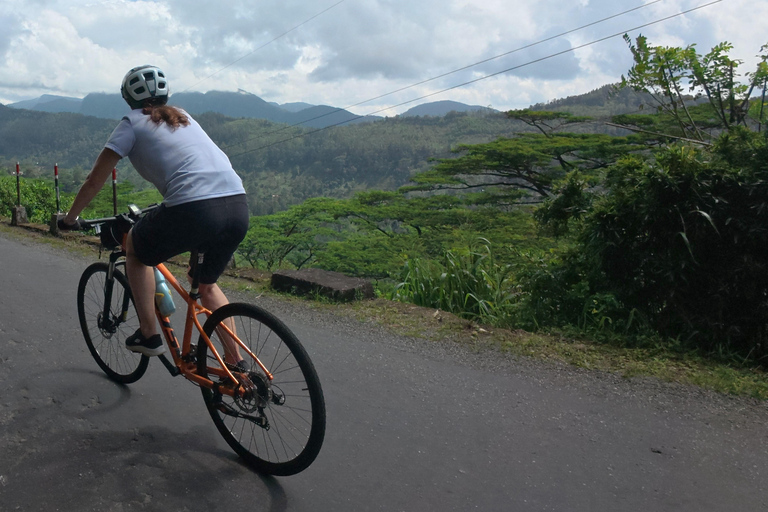 Sri Lanka 14-Day Small-Group Cycling Tour
