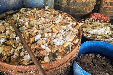 Half-Day Cycling to Discover Battambang's Rural Livelihoods