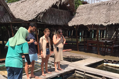 Ko Lanta: Half Day Tour Mangrove Boat Trip With LunchKo Lanta: Half Day Tour Mangrove Boat Trip