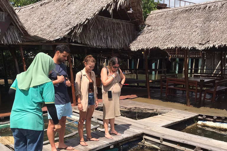 Ko Lanta: Half Day Tour Mangrove Boat Trip With LunchKo Lanta: Half Day Tour Mangrove Boat Trip