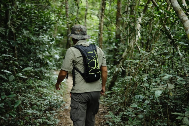 From Siem Reap: Phnom Kulen National Park Trekking Tour