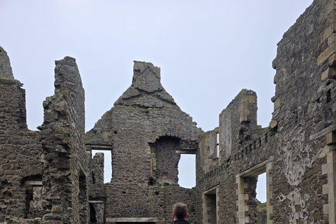 Giants Causeway: Private Causeway Coast Tour with Guide