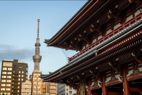 Tokyo: Private Full Day City Tour with English Driver