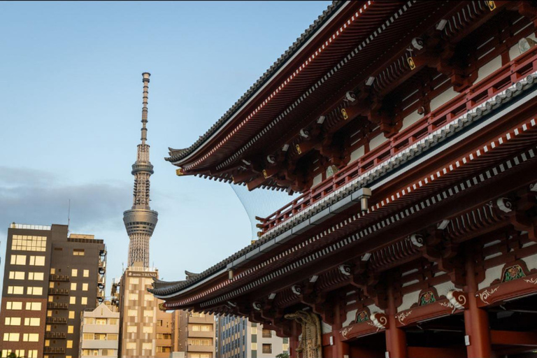 Tokyo: Private Full Day City Tour with English Driver