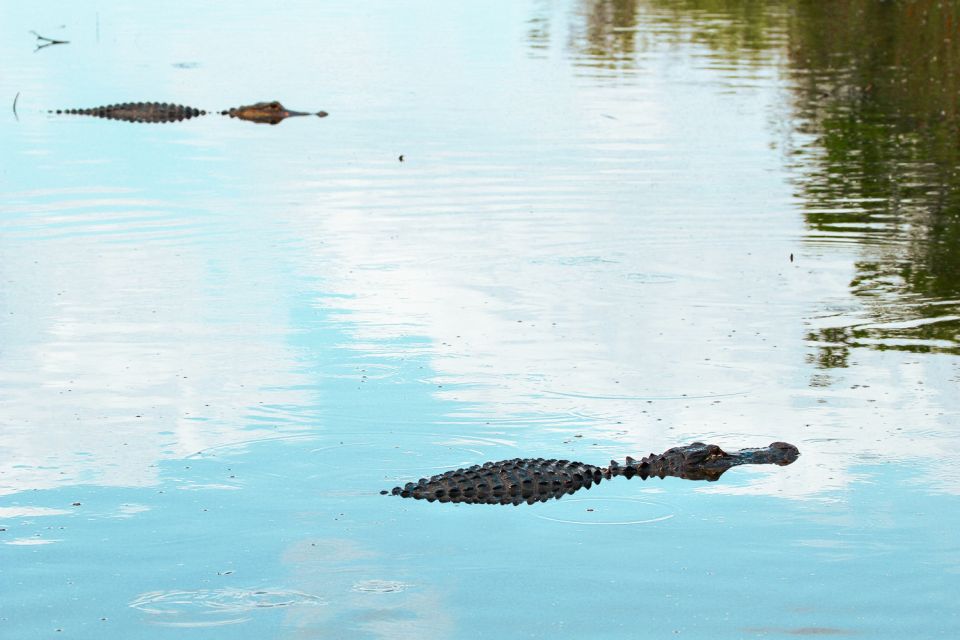 Rejs poduszkowcem po Parku Narodowym Everglades