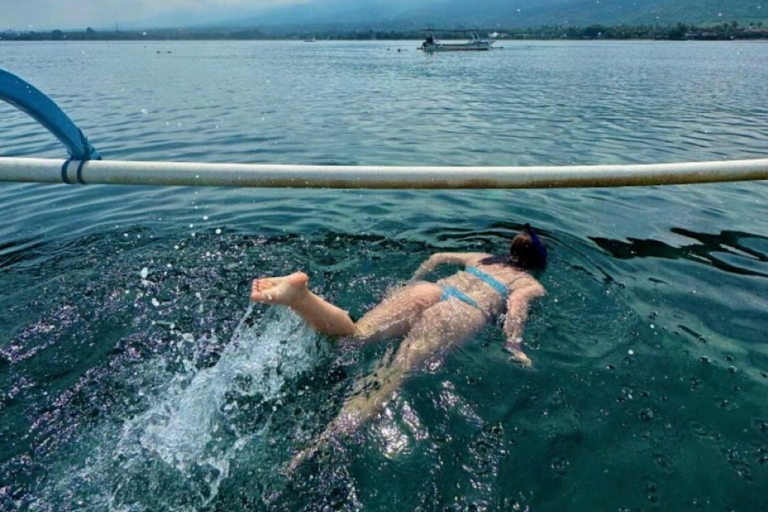 Lovina/Bali : Observation des dauphins, billets pour la baignade et la plongée en apnéeActivités avec bateau privé