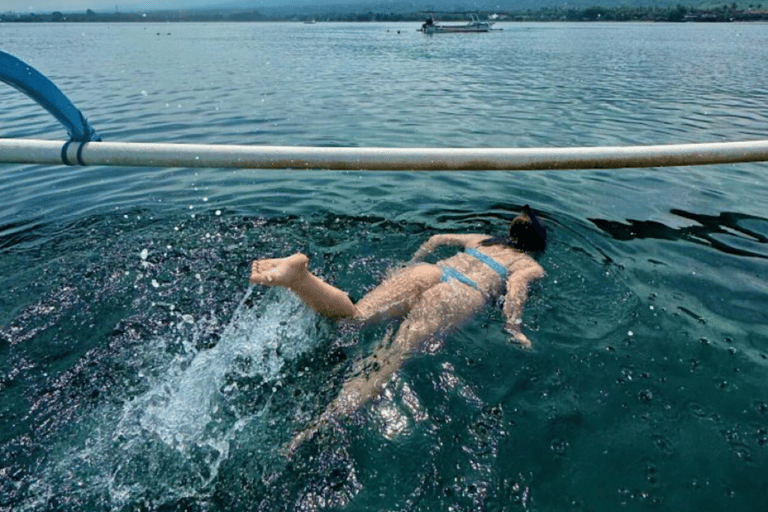 Bali: Verken Noord-Bali Persoonlijke DagtourNoord-Bali Reis B