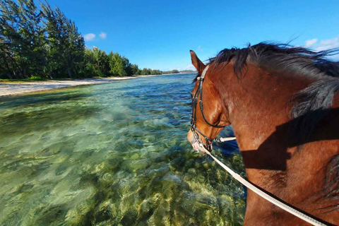 Mauricio: Paseo a caballo por la playa desierta de Riambel