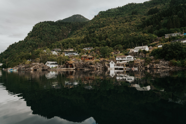 Norheimsund: Aventura privativa exclusiva no RIB do HardangerfjordNorheimsund: safári particular Hardangerfjord e Fyksesund RIB