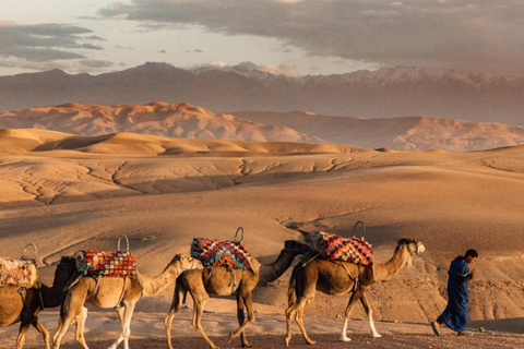 Marrakech: Puesta de sol en el desierto de Agafay, paseo en camello y cena espectáculoMarrakech: Puesta de sol en el desierto de Agafay, paseo en camello y cena con espectáculo