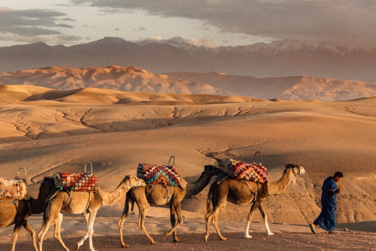 Marrakech: Excursão ao deserto de Agafay com quadriciclo, passeio de camelo e jantar