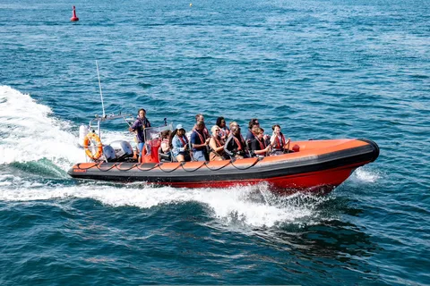 Torquay: 1-stündige Bootsfahrt mit dem Coastal Explorer