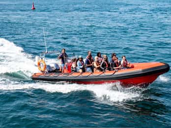Torquay: 1-Hour Coastal Explorer Boat Trip