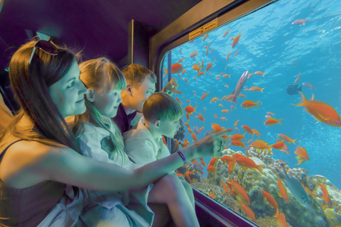 Hurghada: Dolphin Show, Snorkeling, submarine& Bedouin Tour