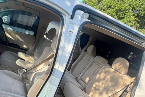 Zanzibar: Jozani-skogen, Kuza-grottan, The Rock och Mtende-strandenPrivat tur inkluderar upphämtning och avlämning vid hotell