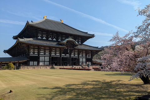 Nara: Private Buddhist Temple Tour with Deer Park Visit