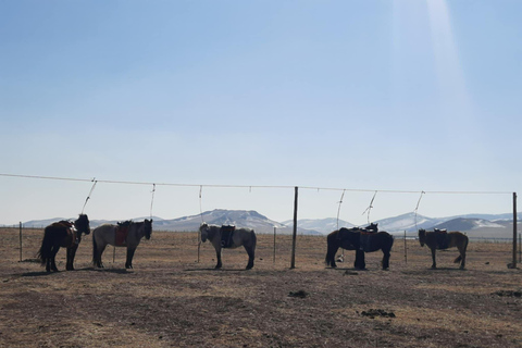 Ulaanbaatar: Mongolian Culture Tour with full day activities