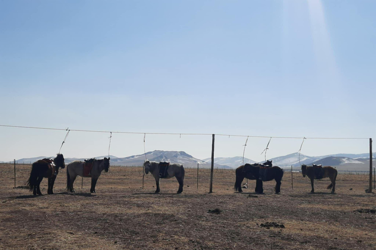 Ulaanbaatar: Mongolian Culture Tour with full day activities