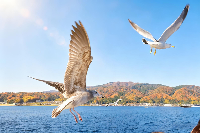 Osaka: Amanohashidate, Ine Cruise & Miyama Village From Osaka (Basic Package)