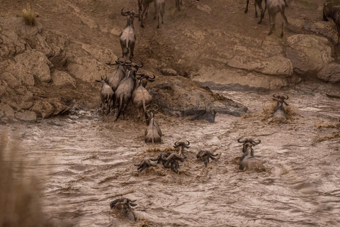9-Day Kenya Safari with Accommodation & Meals