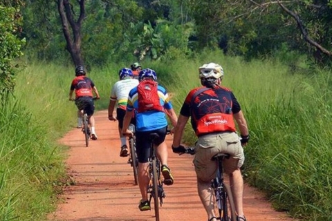 Two-Wheeled Toddy Hunting Adventure in Bentota.