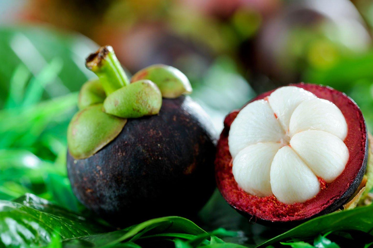 Tropikalne owoce Brazylii w São PauloDegustacja owoców dla grup