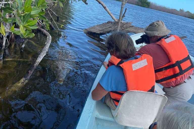 From Cancun: Rio Lagartos and Las Coloradas Day Trip