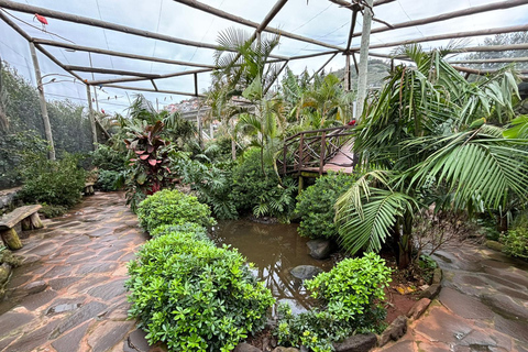 Madeira: Exotic Birds & Valleys 4x4 Safari with Local Guide Shared Exotic Birds & Valleys 4x4 Expedition Local Guide