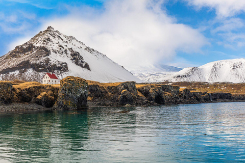 Visite en petit groupe de la péninsule de Snaefellsnes et de KirkjufellDeppuis Reykjavik : péninsule de Snaefellsnes et Kirkjufell