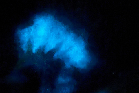 Transparent Canoe in Bioluminescent Bay in Vieques Transparent Canoe in the Bioluminescent Bay in Vieques