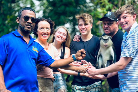 Grenada: Rivier Tubing en Grand Etang Meer Tour