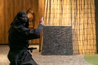Odawara, Guided Ninja & Samurai Tour of Odawara Castle - Housity