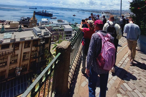 Porto de Valparaiso e Viña del Mar, degustação de vinhos em Casablanca