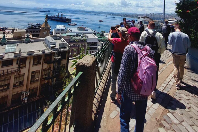 Porto di Valparaiso e Viña del Mar, degustazione di vini a Casablanca