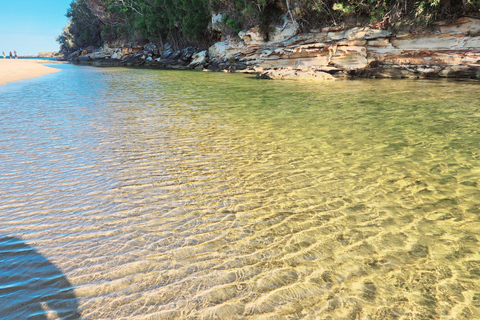 Au départ de Sydney : Parc national royal, Wollongong et Kiama